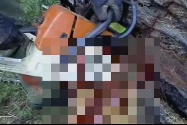 Bărbat rănit după ce și-a scăpat drujba peste picior