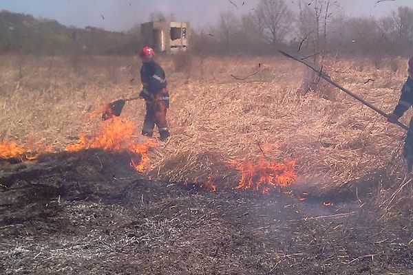 20 de amenzi aplicate de pompieri persoanelor care au incendiat vegetația uscată