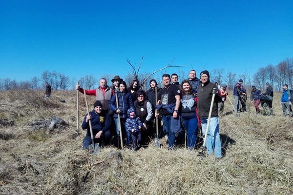 Pădure plantată de USR Suceava în compensare pentru hârtia consumată pentru inițiativa Fără Penali în Funcții Publice