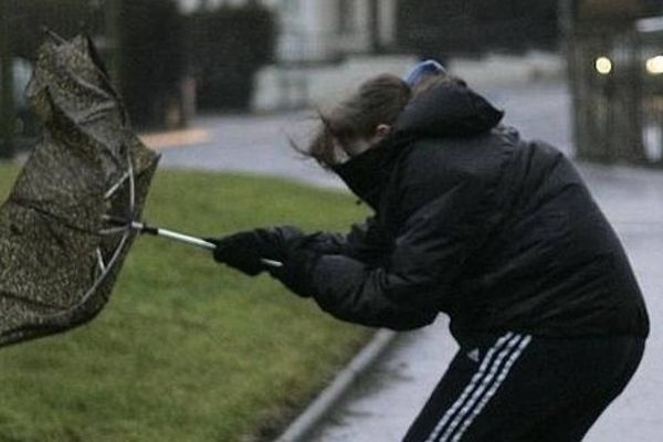 Cod galben de vânt pentru județul Suceava