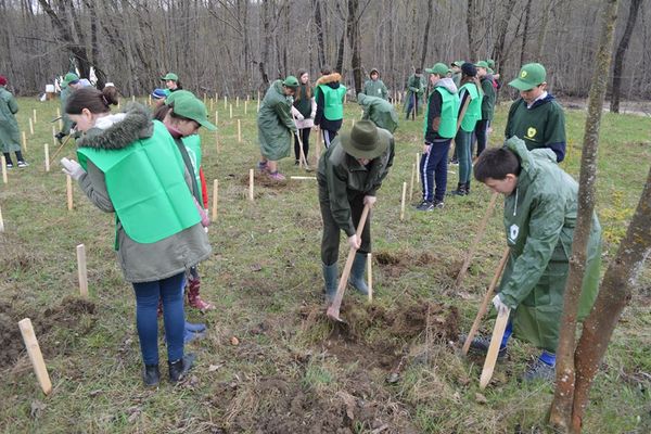 Acțiune de împădurire pe raza Ocolului Silvic Râșca FOTO