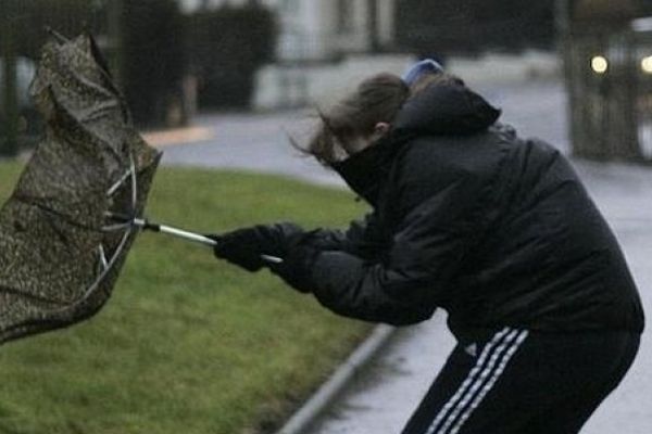 Cod galben de vânt pentru zona de munte a județului Suceava