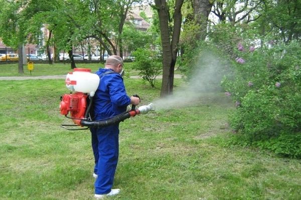 Campanie de distrugere a căpușelor în parcurile și locurile de joacă din municipiul Suceava