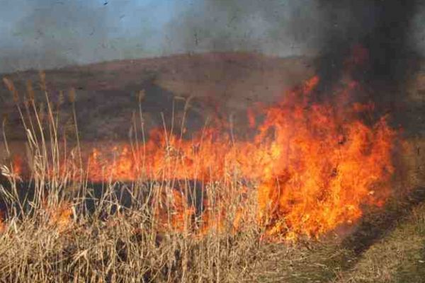 Cinci incendii de vegetație uscată produse în ultimele 24 de ore