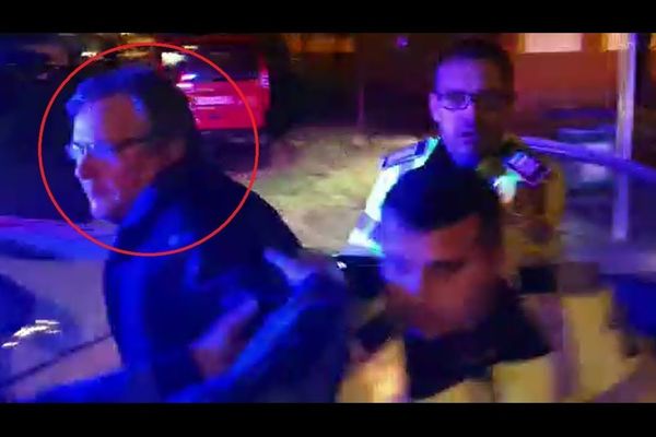 VIDEO Urs impunător filmat în pădurile de lângă Broșteni