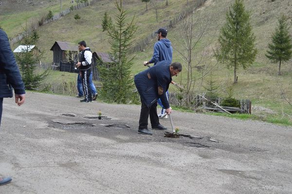 Protest inedit la Broșteni. Mai mulți localnici au plantat flori și puieți în gropile din asfalt FOTO