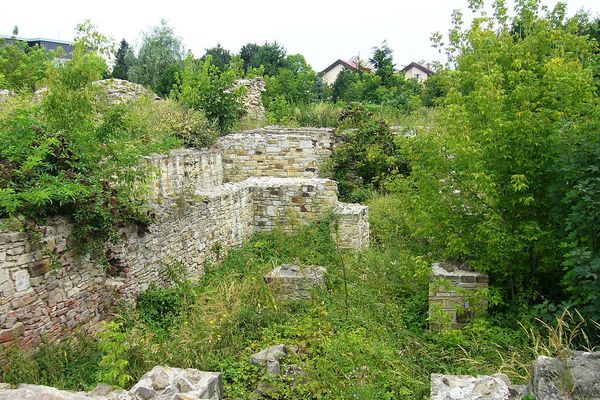 Curtea Domnească ar putea fi restaurată de Institutul Național al Patrimoniului