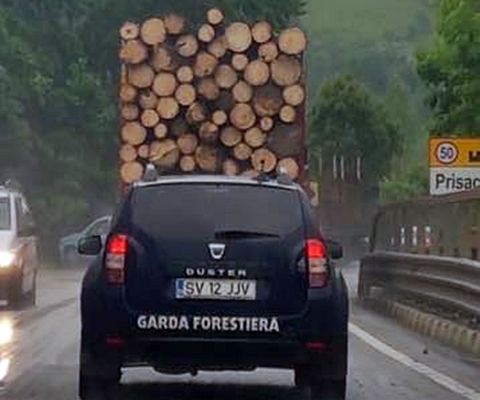 Garda Forestieră Suceava a făcut cercetări în cazul mașinii fotografiată circulând în spatele unui camion cu bușteni