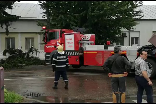 Arbori doborâți de vânt în mai multe localități din județul Suceava FOTO VIDEO