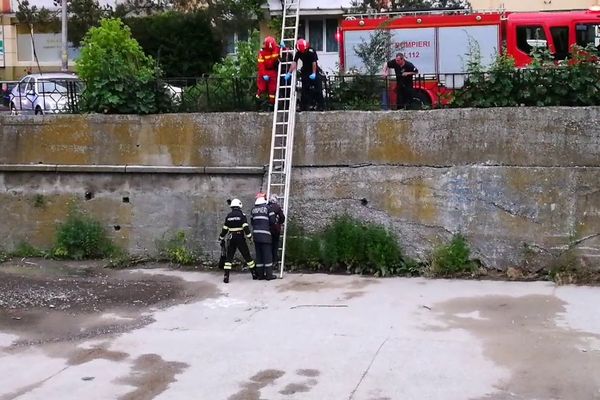 Spectacolul PiSiCi, sold-out la Festivalul de Teatru de la Sibiu