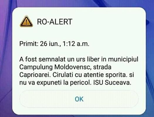 RO-ALERT: “A fost semnalat un urs liber în municipiul Câmpulung Moldovenesc” FOTO