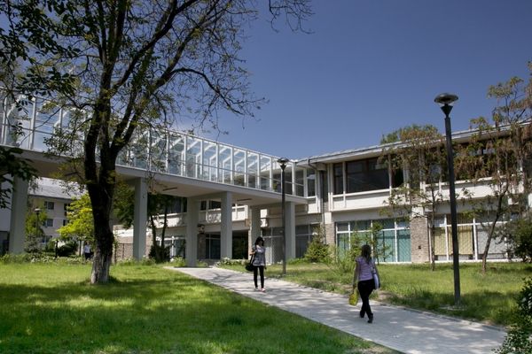 Valorificarea tehnicilor agricole tradiționale, proiect la USV