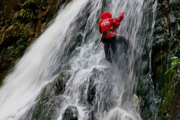 Bătrână accidentată în pădure, căutată de salvamontiști, pompieri și jandarmi
