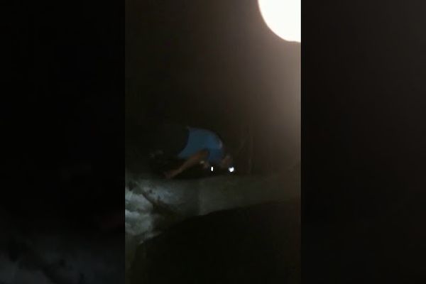 Adrian Radu Rey a fost ales președinte al filialei PLUS Suceava