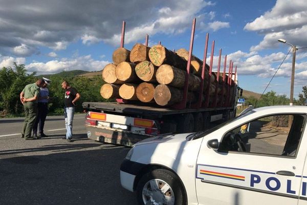 Prins transportând ilegal lemn, un șofer a abandonat autoutilitara și a fugit într-o pădure
