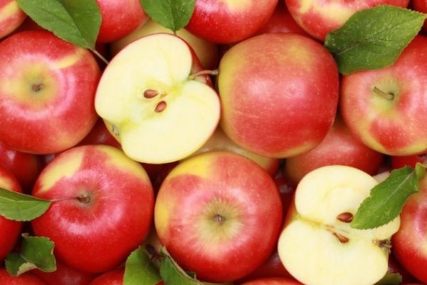 Trei persoane din Drăgoiești prinse în timp ce furau, cu căruțele, mere dintr-o livadă