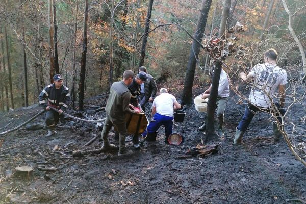 Incendiu la Poiana Micului, din cauza unei țigări aruncate la întâmplare FOTO