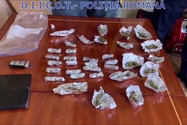 Rețea de traficanți de droguri, destructurată la Suceava. Opt indivizi au fost arestați VIDEO