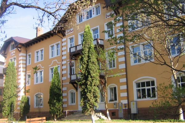 Din cauza vitezei un șofer a intrat cu autoutilitara într-un capăt de pod, după care s-a răsturnat