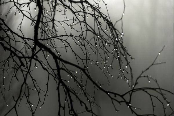 Vreme deosebit de rece, ninsori la munte și precipitații mixte