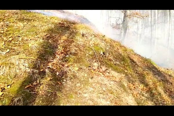 VIDEO Profesoară către un elev: „Tu ești tănău? Te urăsc! Nu te pot suporta!”