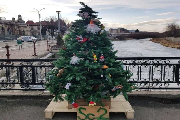 Grinch a ajuns și la Vatra Dornei. Un brad împodobit de elevii unei școli a fost lăsat fără jucării FOTO