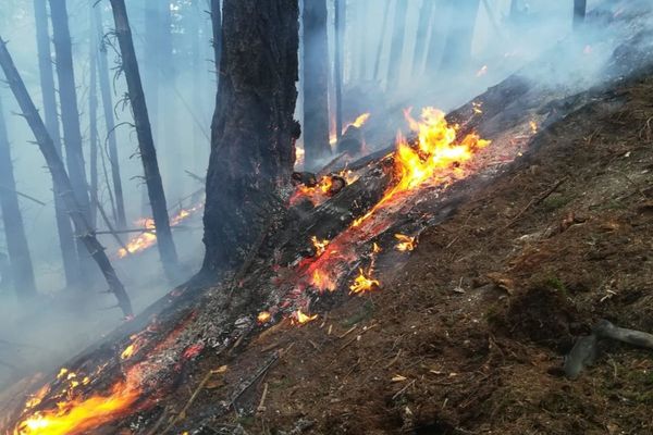 Incendiu pe raza Ocolului Silvic Pojorâta. Peste o sută de persoane au intervenit pentru lichidarea flăcărilor VIDEO