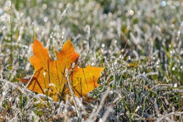 Prognoza meteo pentru următoarele două săptămâni
