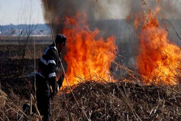 Trupul unui bărbat de 83 de ani, găsit carbonizat după un incendiu de vegetație 
