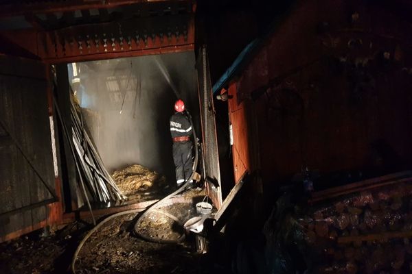 Aproape o sută de misiuni ale pompierilor suceveni, în ultimele 48 de ore FOTO