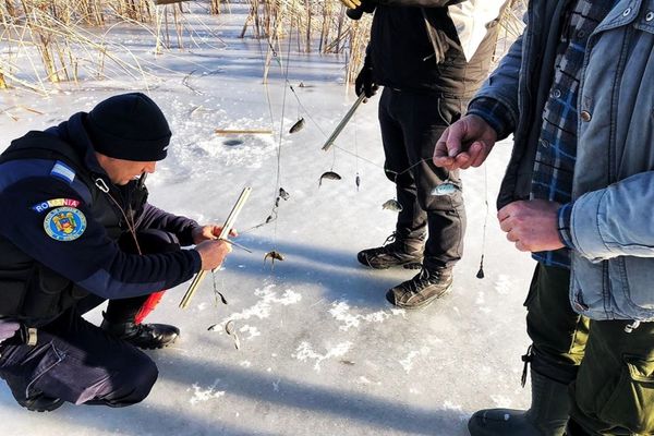 Braconieri piscicoli prinși în acțiune de jandarmii suceveni FOTO