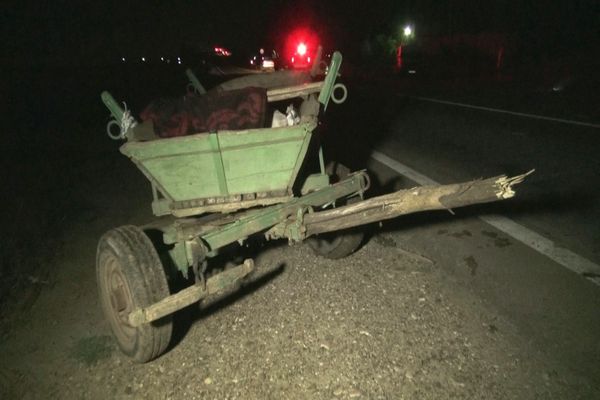 Accident mortal la Baia. Un autoturism a lovit o căruță