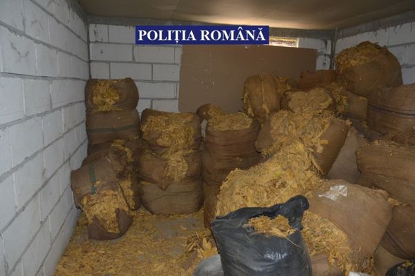 Poliţia Română: 48 tone de tutun vrac şi 55 milioane de ţigarete de contrabandă, confiscate anul trecut