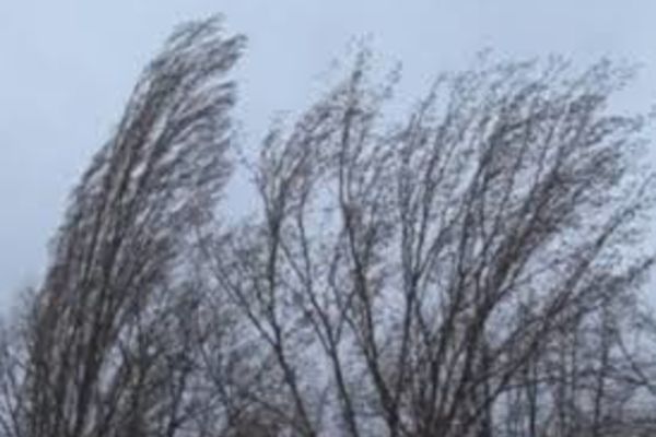 Cod galben de vânt pentru zona de munte a județului Suceava