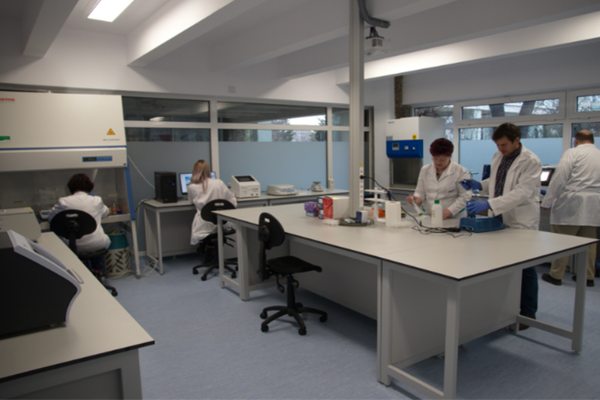 Universitatea "Ștefan cel Mare"din Suceava a implementat o linie semi-automată de testare COVID-19, care va fi predată Spitalului Județean Suceava pentru înființarea laboratorului de testare