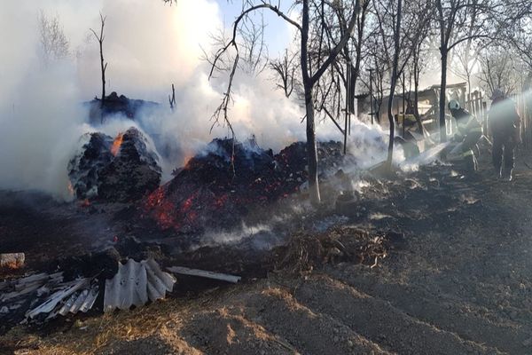 Incendiu violent în satul Probota. De la ce a pornit focul VIDEO