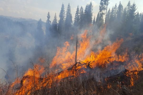 Aproximativ 200 de pompieri, pădurari și salvamontiști au intervenit pentru stingerea a șase incendii care au amenințat fondurile forestiere VIDEO