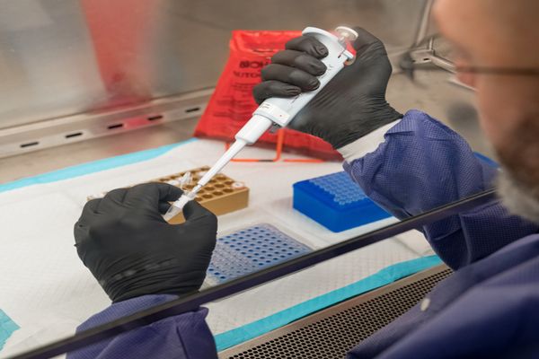 Primăria Suceava a achiziționat încă 2000 de teste pentru depistarea COVID 19