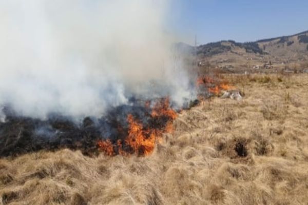 Incendiu de vegetație uscată și resturi de exploatare forestieră, la Șaru Dornei VIDEO