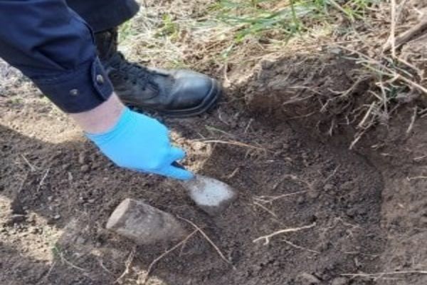 Element de muniție, descoperit într-o grădină din Milișăuți FOTO