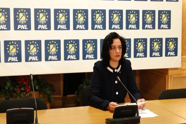 Jocul politic excentric din Parlament al PSD poate bloca măsurile luate de Guvern pentru redresarea economiei