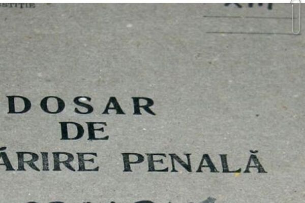 Doi suceveni, cu dosar penal în Bistrița-Năsăud! Ce au făcut