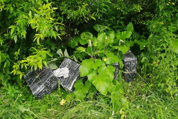 Focuri de armă la Costileva pentru reținerea unui contrabandist de țigări FOTO