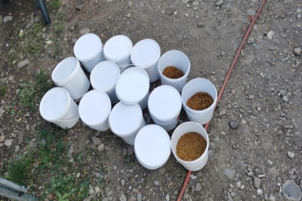 Percheziții în mai multe județe la persoane bănuite de comercializare ilegală de tutun