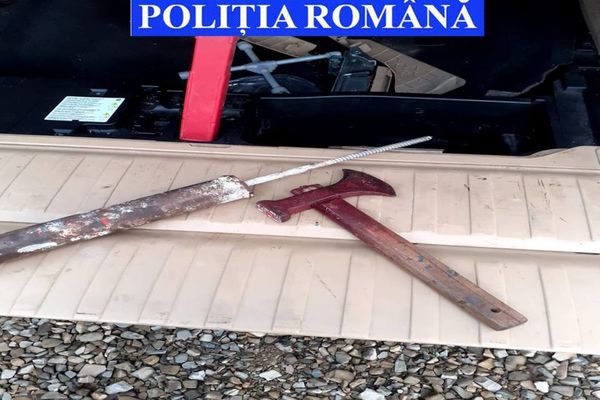 Percheziții în Cârlibaba, Rădăuți și Vicovu de Jos într-un dosar de tăieri ilegale de arbori FOTO