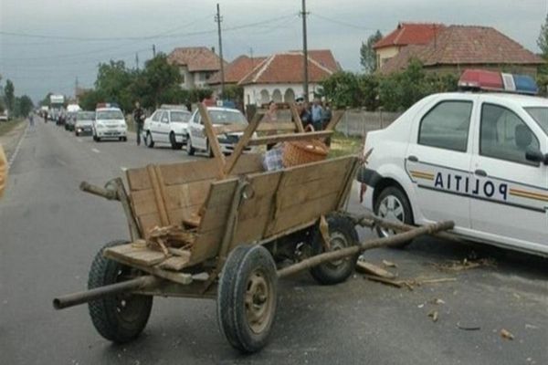 O șoferiță fără experiență a lovit un căruțaș