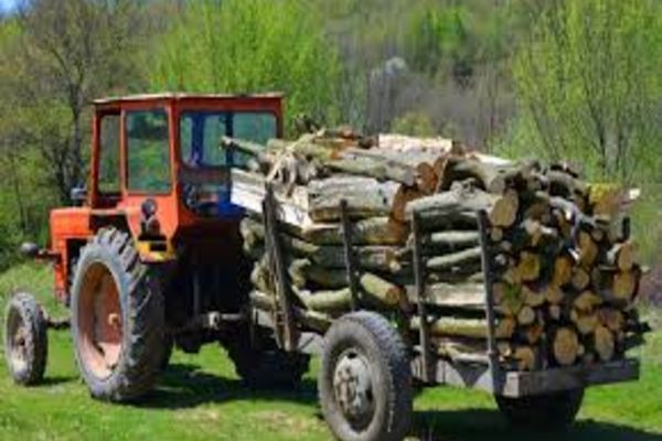 Material lemnos în valoare de peste  37.000 de lei confiscat de polițiști