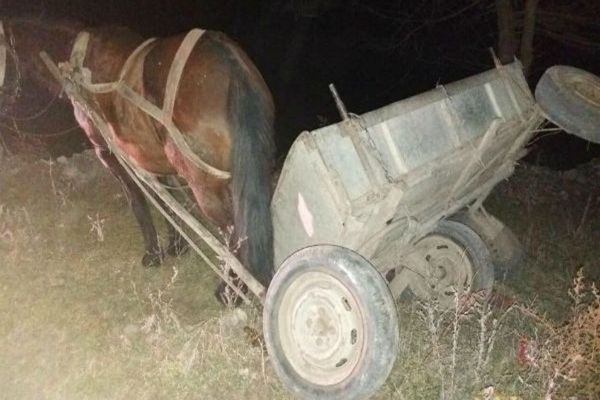 Un căruțaș beat s-a răsturnat cu căruța