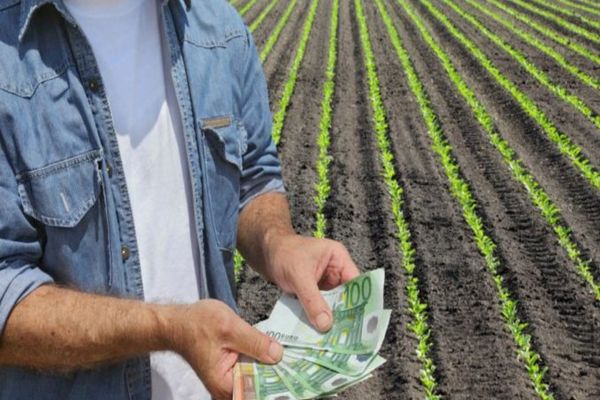 Fraudă cu subvenții APIA! Acum vor da socoteală în justiție