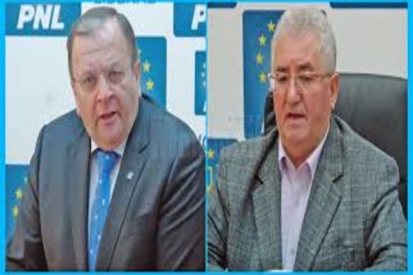 Cine a câştigat alegerile în judeţul Suceava